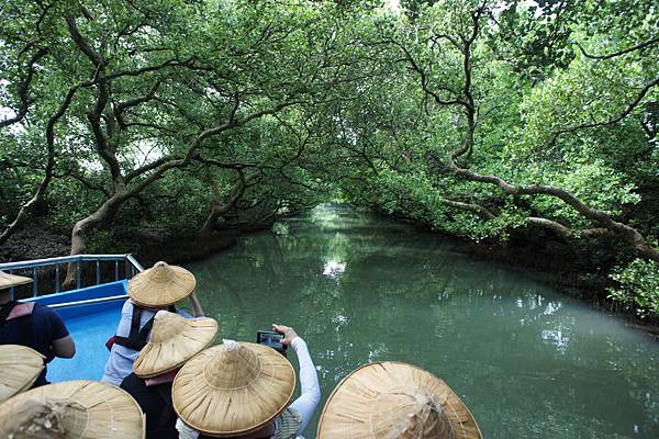 準備進入綠色隧道