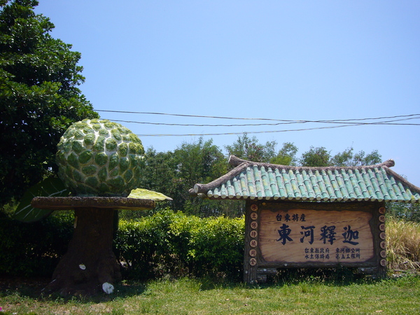 路邊可愛的釋迦大模型