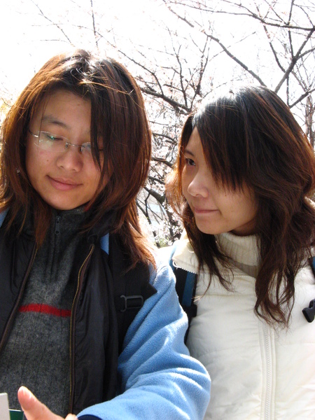 寶在看照片不理人