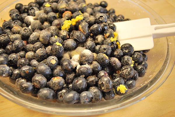 品嚐北美藍寶石　美國媽媽的經典藍莓派 Blueberry Pie