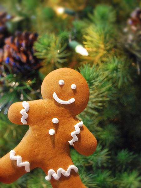 暖香的耶誕童話:薑餅人餅乾 Gingerbread Men Cookies