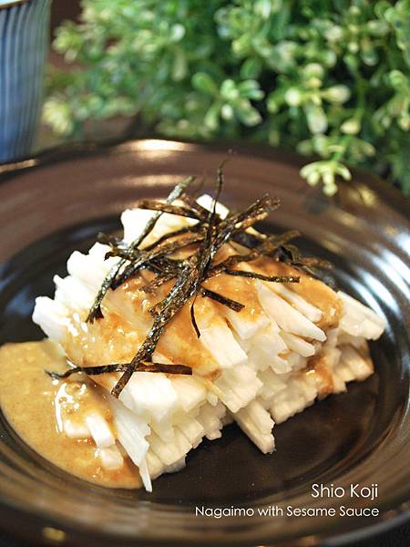 鹽麴芝麻醬拌山藥 Shio Koji Nagaimo with Sesame Sauce 鹽麴芝麻醬拌山藥 Shio Koji Nagaimo with Sesame Sauce