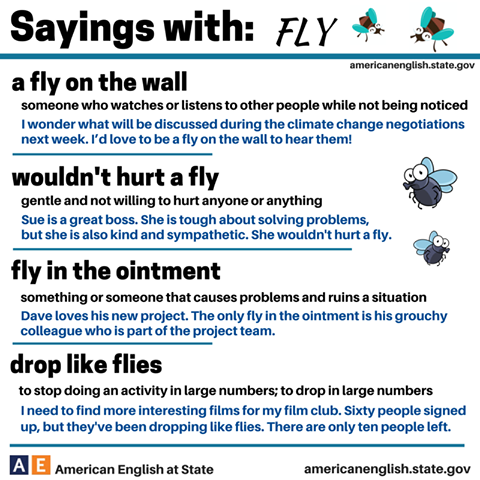 fly.png