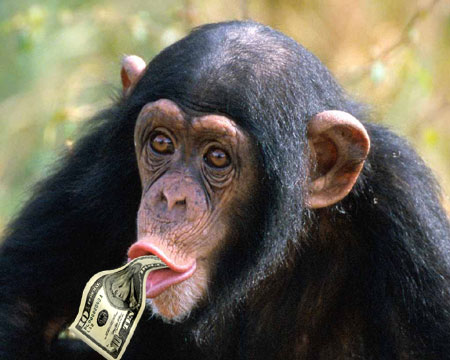 chimpanzee-money-picture-dollar3(dummidumbwit).jpg