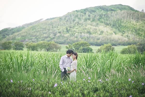 7M1C8296_MO 7M1C8296_MO