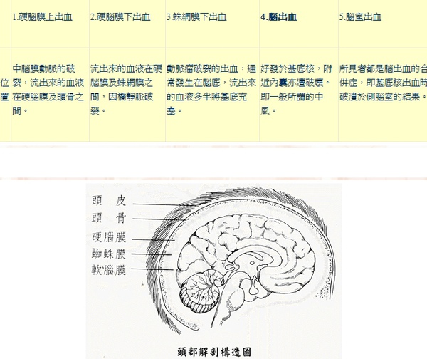 腦部出血.jpg