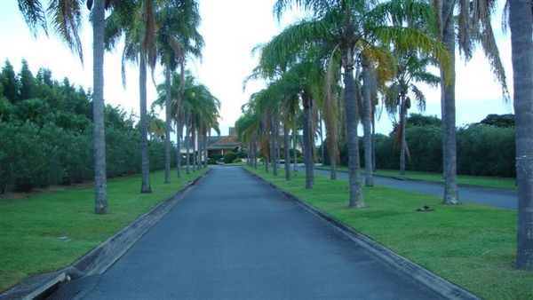 DSC00188 RADISSON PALM MEADOWS.JPG