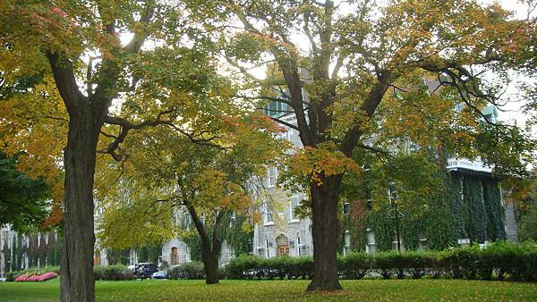 1008. Saint-Joseph Church 旁的街道