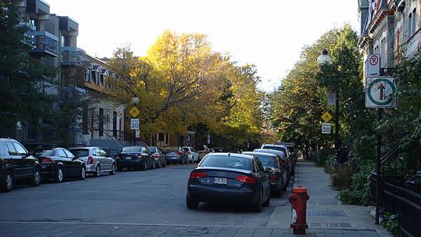 4169. Plateau Mont-Royal.