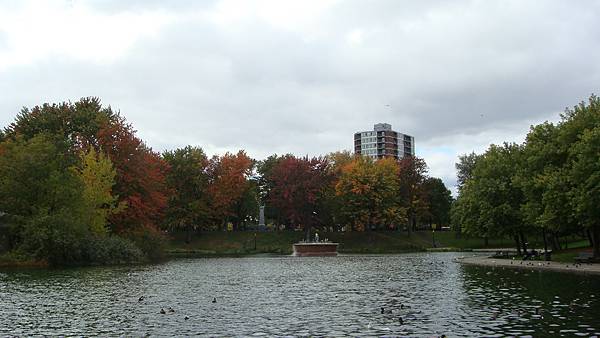 7024. Parc La Fontaine