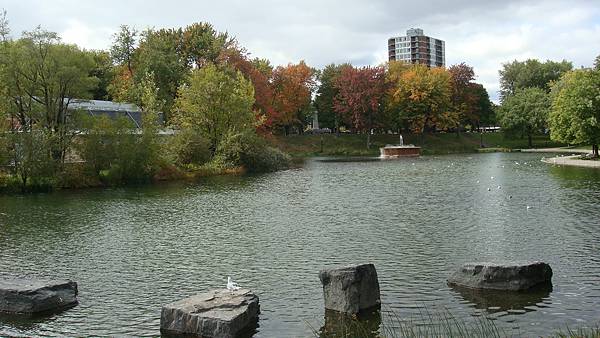 7026. Parc La Fontaine