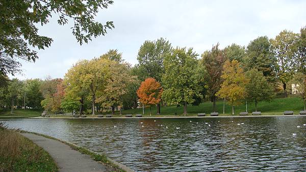 7042. Parc La Fontaine