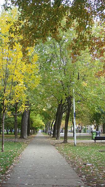 7045. Parc La Fontaine