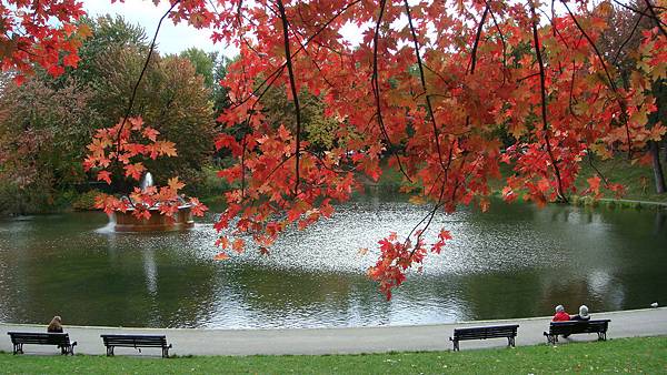 7048. Parc La Fontaine