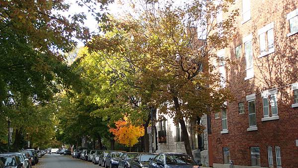 7085. Plateau Mont-Royal