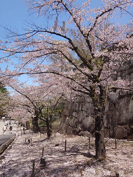 3057.會津若松‧鶴城.JPG