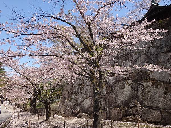 3058.會津若松‧鶴城.JPG