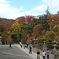 132. 第四天善光寺.JPG