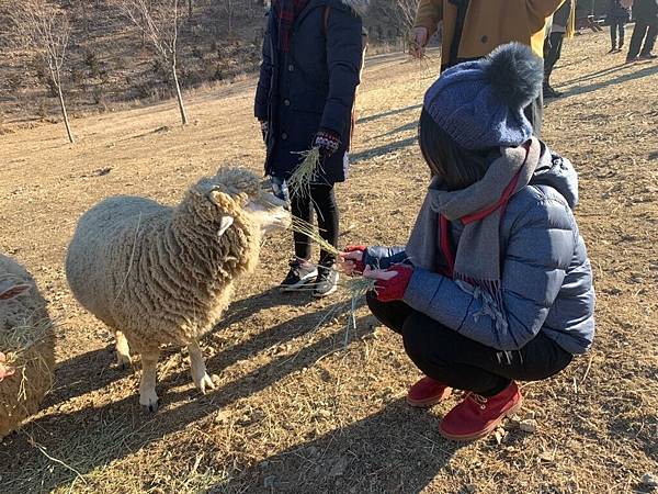 108117-21韓國_190124_0007.jpg 108117-21韓國_190124_0007.jpg