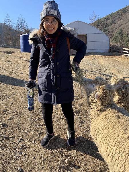 IMG_4920.JPG IMG_4920.JPG