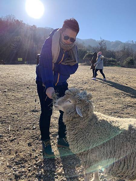 IMG_4918.JPG IMG_4918.JPG