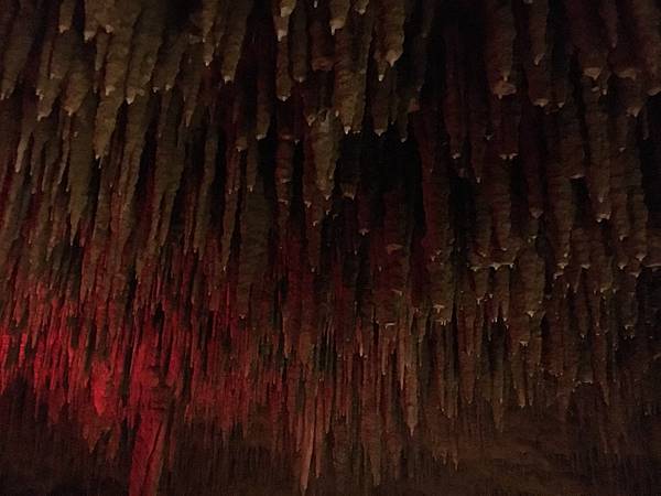 IMG_7278.JPG IMG_7278.JPG