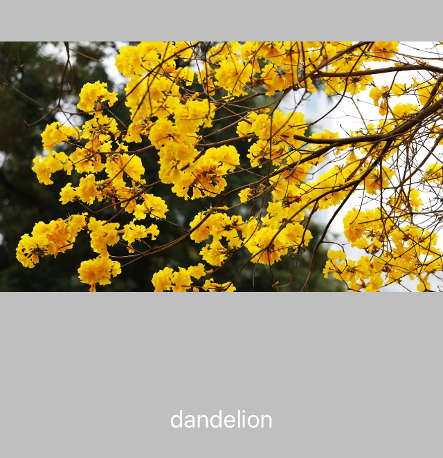 【機械學習】教你的 iPhone 認識 Gogoro 換電站 【機械學習】教你的 iPhone 認識 Gogoro 換電站