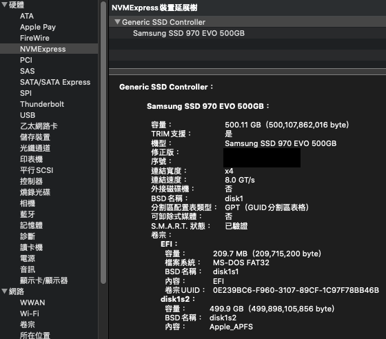 Samsung SSD 970EVO macOS_NVMeInfo.png