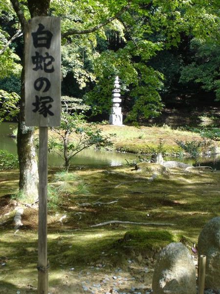 聽說白蛇之後逃到日本