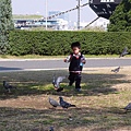 山下公園_阿笨與鴿子