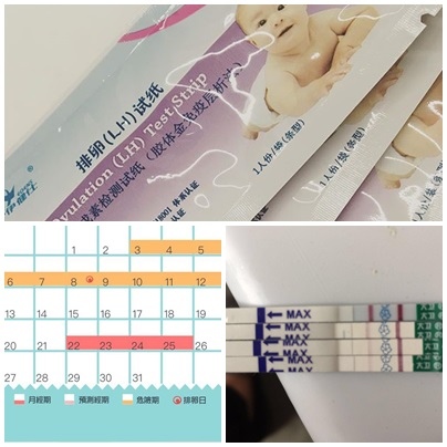 利用MCapp+排卵試紙監測排卵.jpg