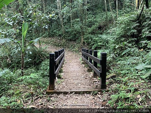 9.馬那邦山登山步道4.JPG 9.馬那邦山登山步道4.JPG