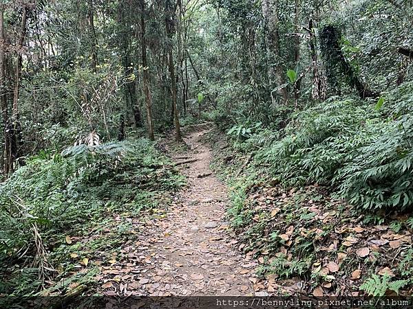 10.馬那邦山6.JPG 10.馬那邦山6.JPG