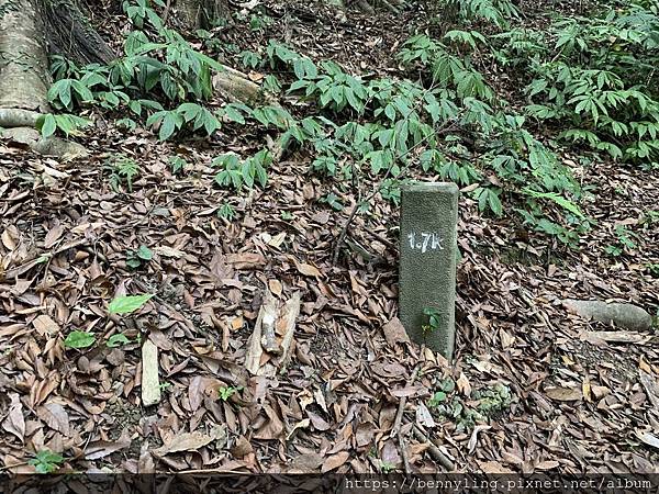 10.馬那邦山7-1.7K.JPG 10.馬那邦山7-1.7K.JPG