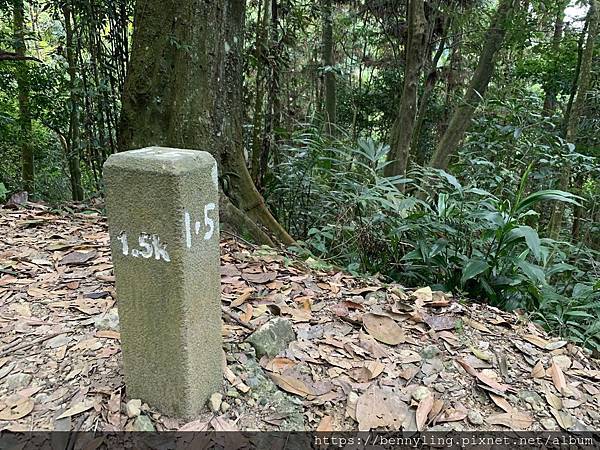 10.馬那邦山9-1.5K.JPG 10.馬那邦山9-1.5K.JPG