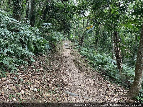 10.馬那邦山12.JPG 10.馬那邦山12.JPG