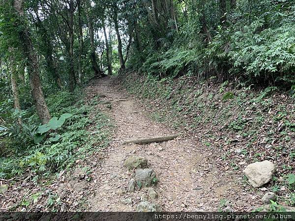 10.馬那邦山17.JPG 10.馬那邦山17.JPG