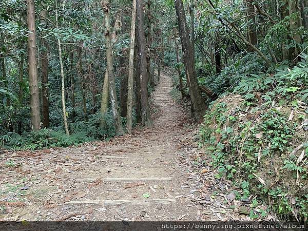 10.馬那邦山18.JPG 10.馬那邦山18.JPG