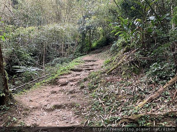 10.馬那邦山19.JPG 10.馬那邦山19.JPG