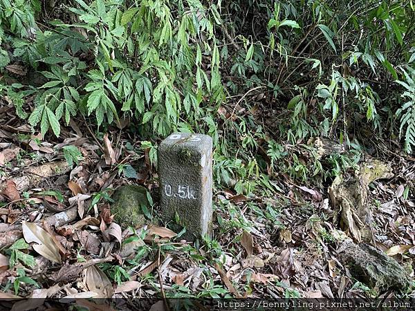 10.馬那邦山22.JPG 10.馬那邦山22.JPG