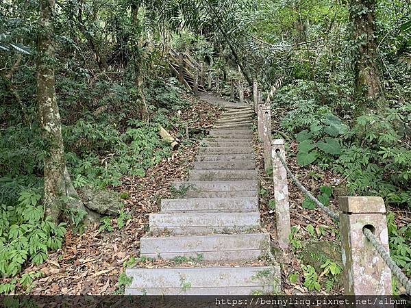 10.馬那邦山23.JPG 10.馬那邦山23.JPG