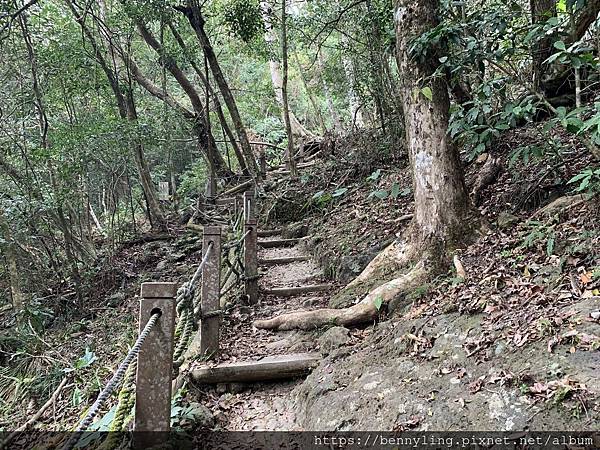 10.馬那邦山24.JPG 10.馬那邦山24.JPG