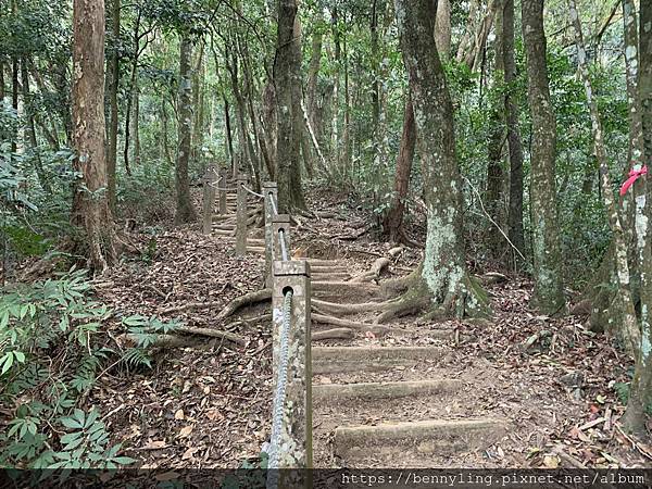 10.馬那邦山27.JPG