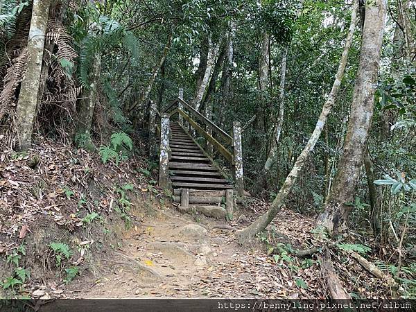 10.馬那邦山29.JPG 10.馬那邦山29.JPG