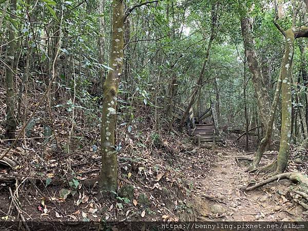 10.馬那邦山30.JPG