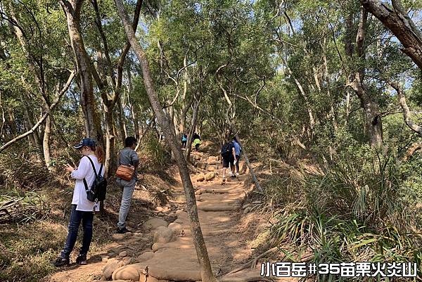 PhotoCap_005.jpg PhotoCap_005.jpg