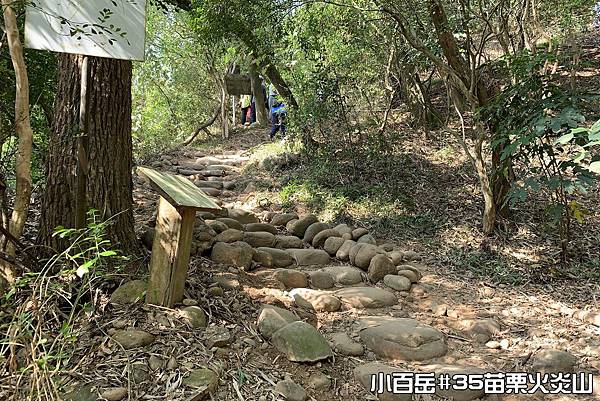 PhotoCap_002.jpg PhotoCap_002.jpg