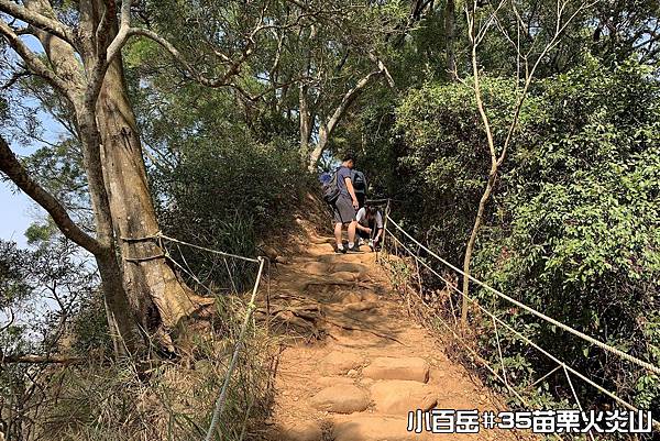 PhotoCap_010.jpg PhotoCap_010.jpg