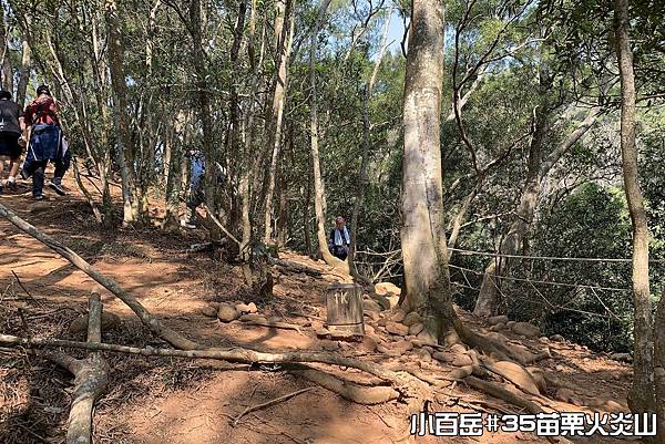 PhotoCap_015.jpg PhotoCap_015.jpg