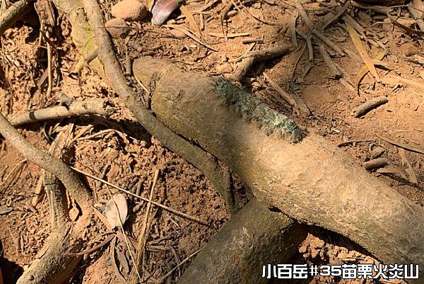 PhotoCap_017.jpg PhotoCap_017.jpg